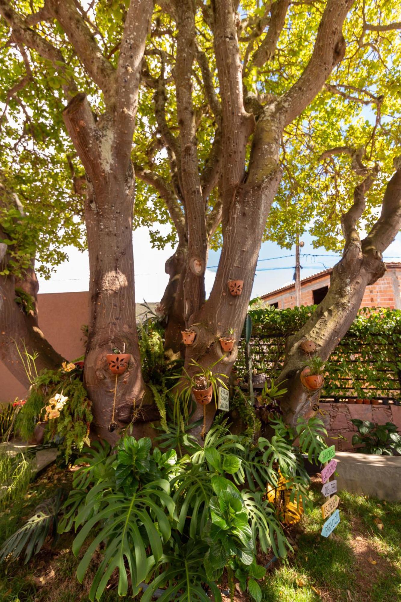 Villa Matilde Mucugê Extérieur photo